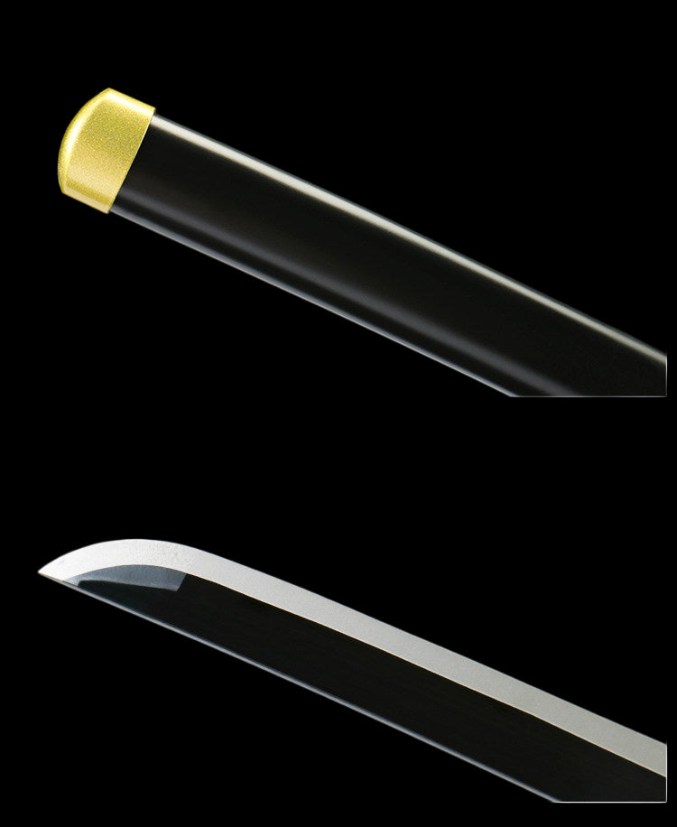 Demon Slayer Giyuu Tomioka Nichirin Sword, Full Tang Forged 1095 High Carbon Steel, Black Blade Version, Sharp Blade