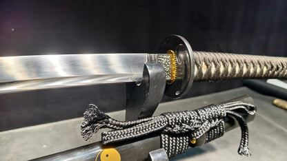 Tai Chi（Spring steel forging process）katana