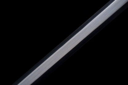 Dragon King Sword ~ Mo Chen 龍王剑～墨尘