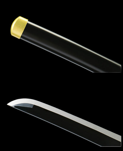 Demon Slayer Giyuu Tomioka Nichirin Sword, Full Tang Forged 1095 High Carbon Steel, Black Blade Version, Sharp Blade