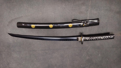 Destruction（T10 earth covered burning blade, quenched black）katana