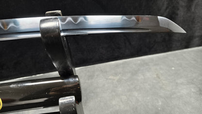 Destruction（T10 earth covered burning blade, quenched black）katana