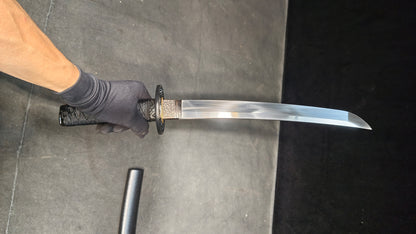 little tyrant（Spring steel forging process）katana,short knife