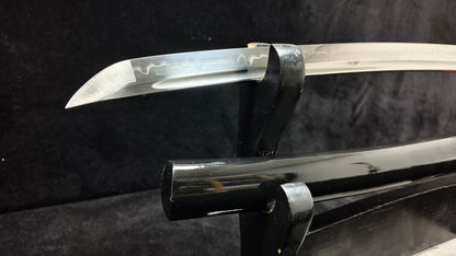 Monsters（T10 Forging Process）katana(B51)