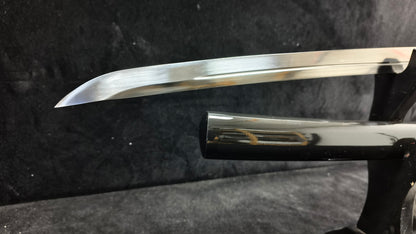 Dark Blade（Spring steel forging process）katana,(B53)