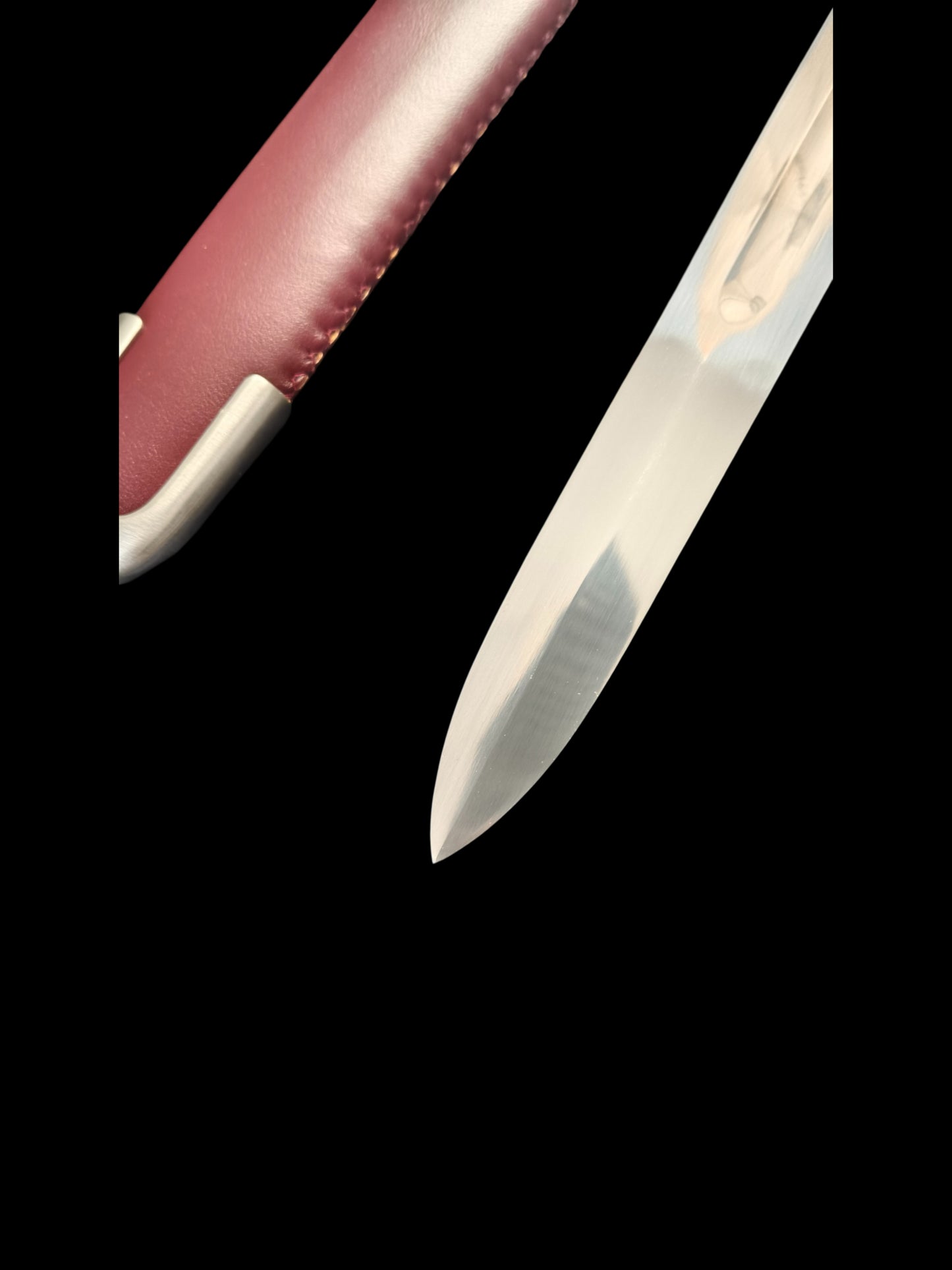 Full Tang Forged 5160 Spring Steel Wild Hunter Single Hand Sword, Sharp Blade, Hand Finished for Collection & Practice